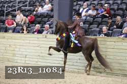 23R13_11084 thumbnail