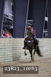 23R13_11085 thumbnail