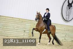 23R13_11109 thumbnail
