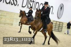 23R13_11124 thumbnail