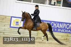 23R13_11130 thumbnail
