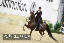 23R13_11139 thumbnail