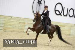 23R13_11140 thumbnail
