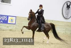 23R13_11141 thumbnail