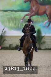 23R13_11144 thumbnail