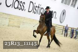 23R13_11145 thumbnail