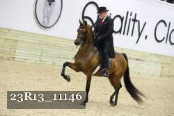 23R13_11146 thumbnail