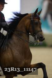 23R13_11147 thumbnail