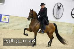 23R13_11148 thumbnail