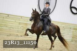 23R13_11150 thumbnail