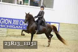 23R13_11151 thumbnail