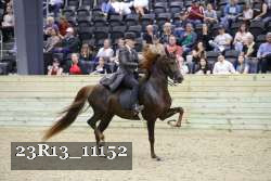 23R13_11152 thumbnail