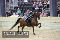 23R13_11153 thumbnail