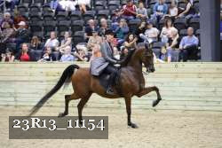 23R13_11154 thumbnail