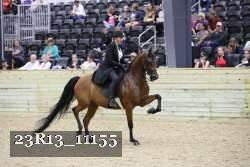 23R13_11155 thumbnail