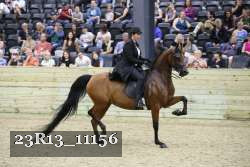 23R13_11156 thumbnail