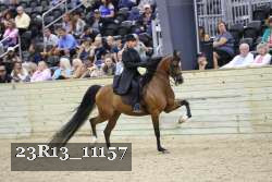 23R13_11157 thumbnail