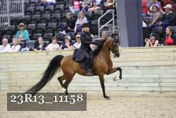 23R13_11158 thumbnail