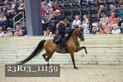 23R13_11159 thumbnail