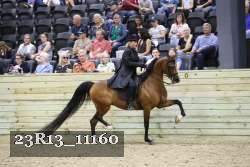 23R13_11160 thumbnail