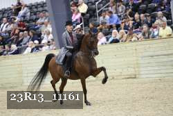 23R13_11161 thumbnail