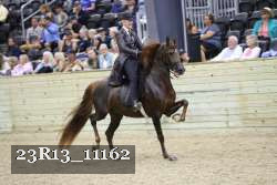 23R13_11162 thumbnail