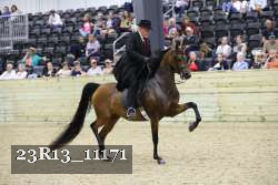 23R13_11171 thumbnail