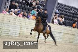 23R13_11187 thumbnail