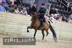 23R13_11188 thumbnail