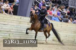 23R13_11189 thumbnail