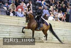 23R13_11190 thumbnail