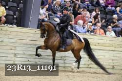23R13_11191 thumbnail