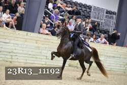 23R13_11192 thumbnail
