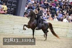 23R13_11194 thumbnail