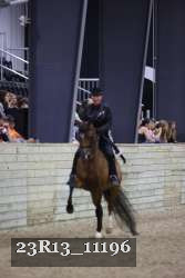 23R13_11196 thumbnail