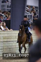 23R13_11197 thumbnail