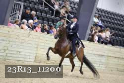 23R13_11200 thumbnail