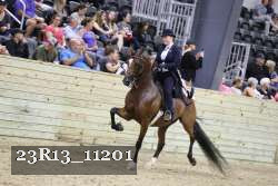 23R13_11201 thumbnail