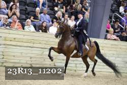 23R13_11202 thumbnail