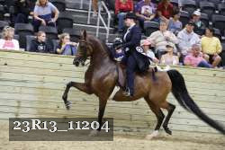 23R13_11204 thumbnail