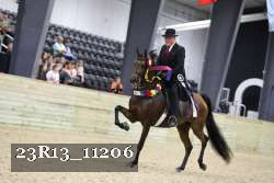 23R13_11206 thumbnail
