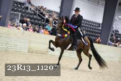 23R13_11207 thumbnail
