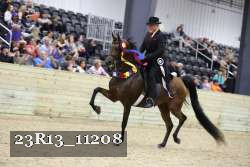 23R13_11208 thumbnail