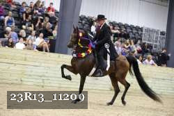 23R13_11209 thumbnail
