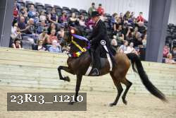 23R13_11210 thumbnail