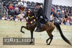 23R13_11211 thumbnail