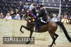 23R13_11212 thumbnail