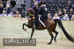 23R13_11213 thumbnail
