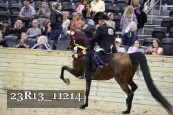 23R13_11214 thumbnail