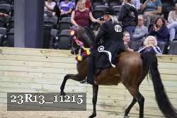 23R13_11215 thumbnail